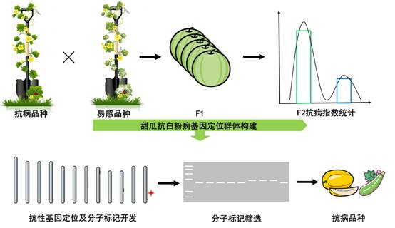 项目图片.jpg